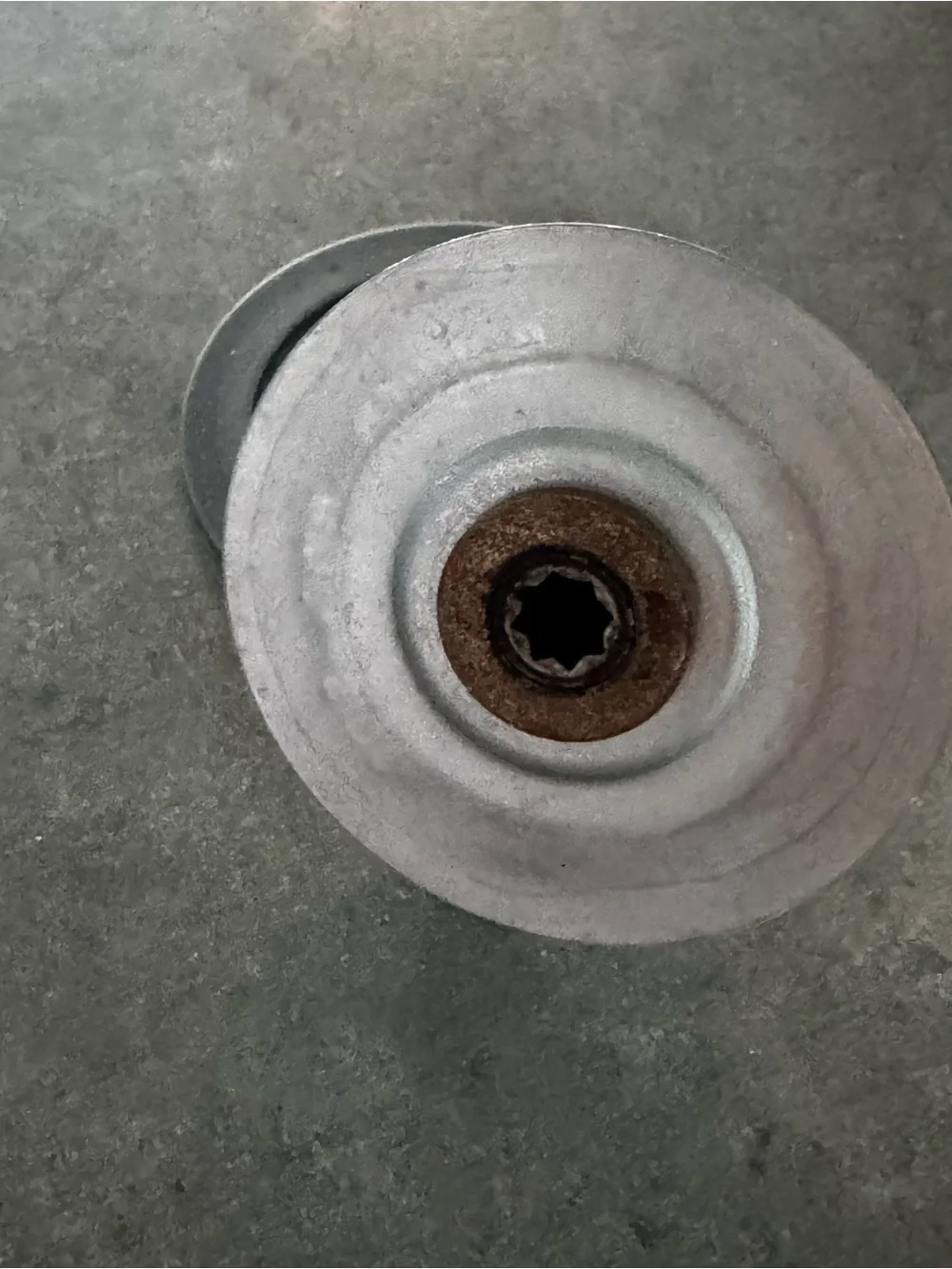 Oster Stainless Steel Blender Blade Assembly with Black Gasket